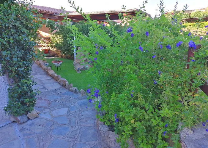 Liberty Budoni * 塔瑙内拉